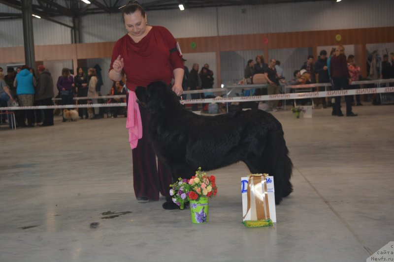 Фото: FIAMETTAHAUZ TSIKNEUS