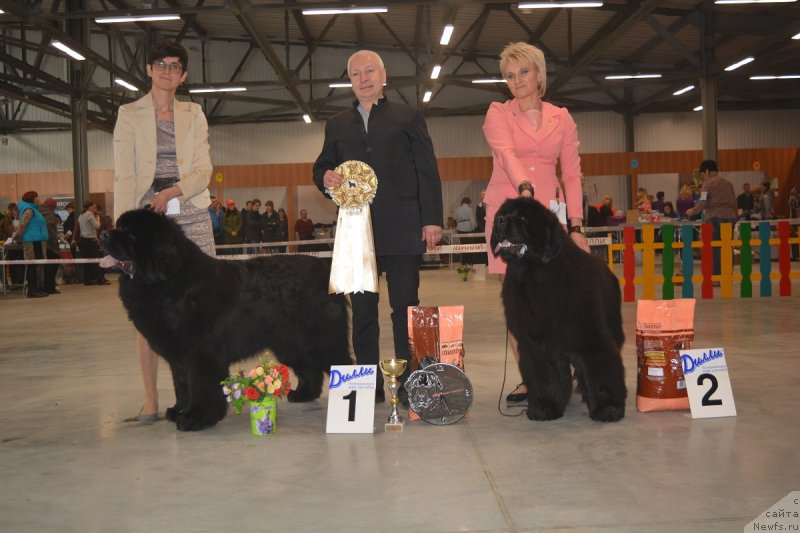 Фотография № 235111