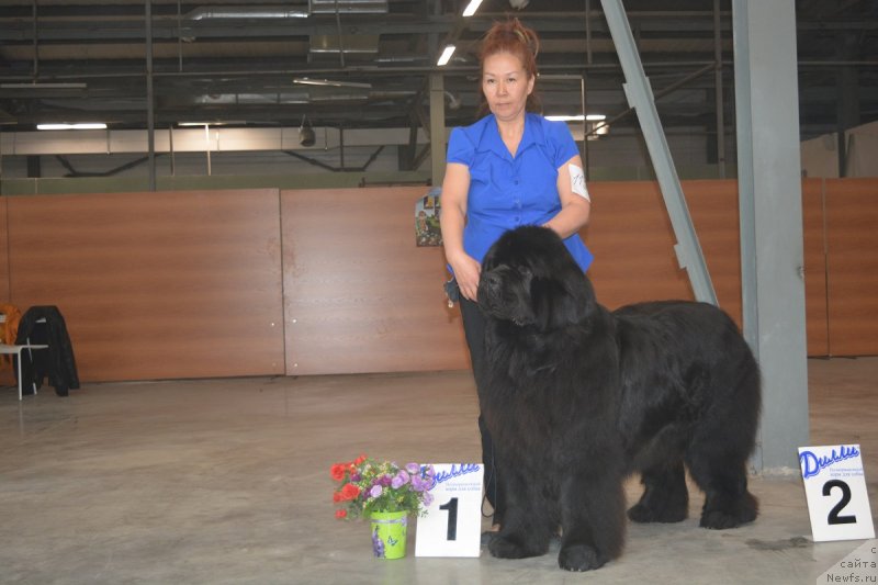 Фотография № 235113