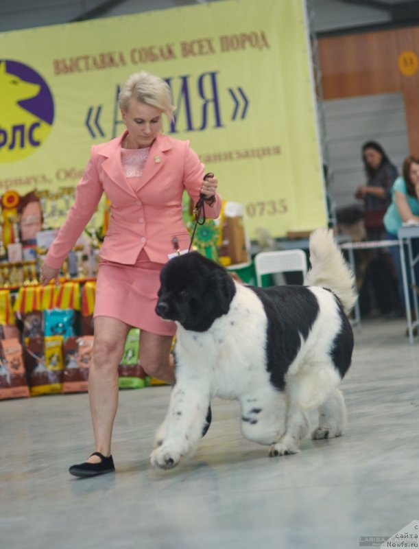 Фотография № 235144