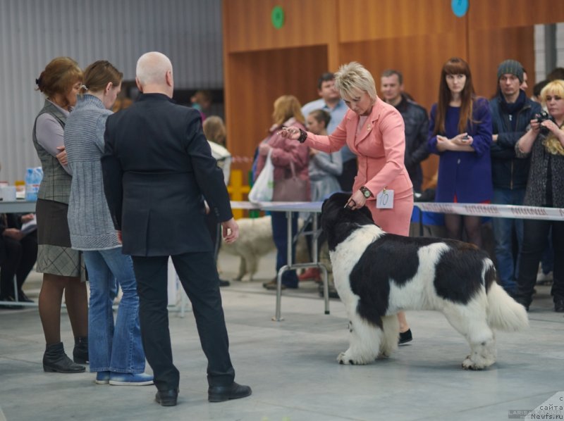 Фотография № 235145