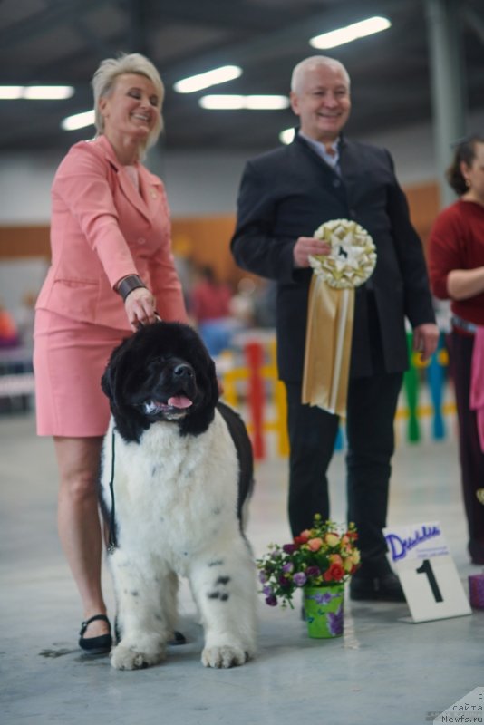 Фотография № 235146