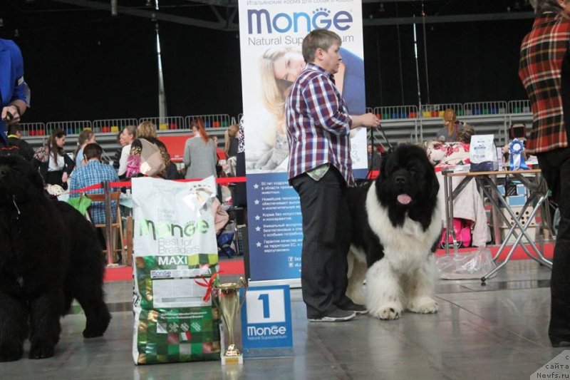 Фотография № 235202