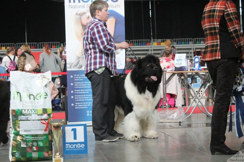 Фотография № 235203