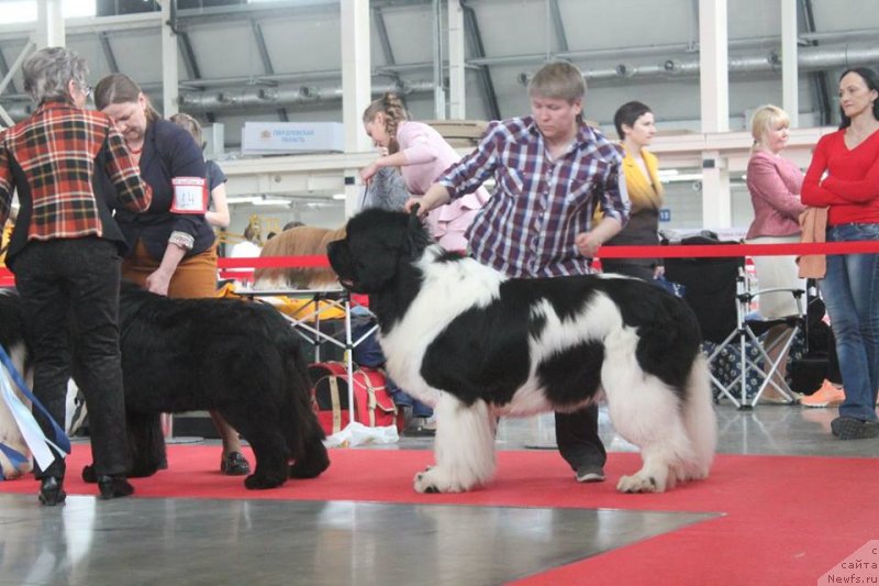 Фотография № 235204