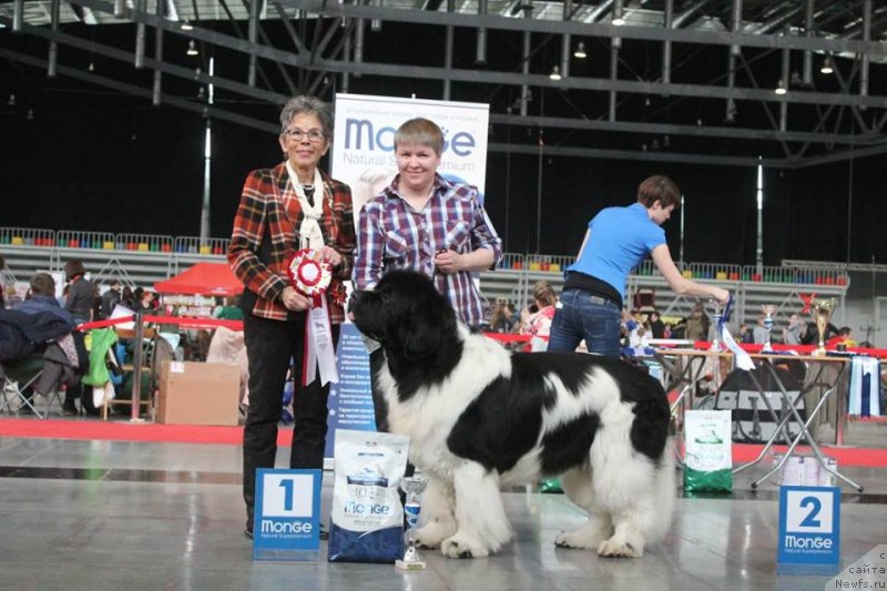 Фотография № 235206