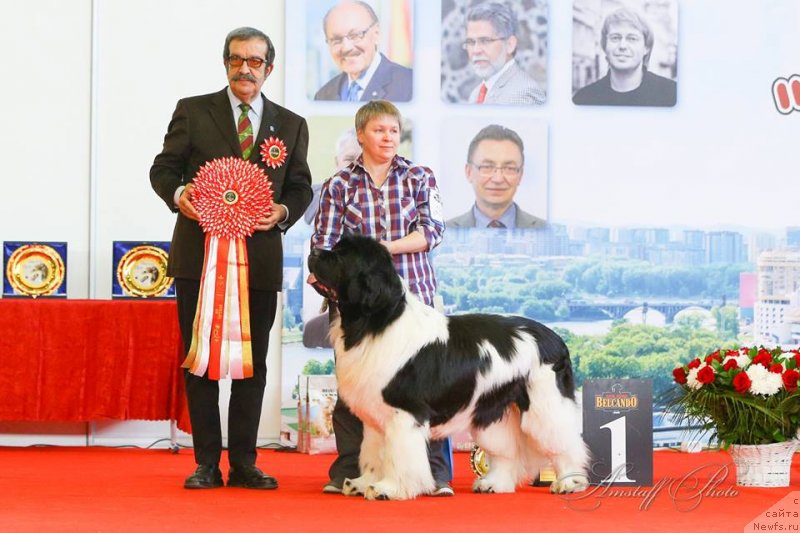 Фотография № 235218