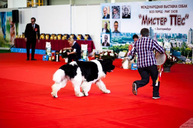 Фотография № 235224