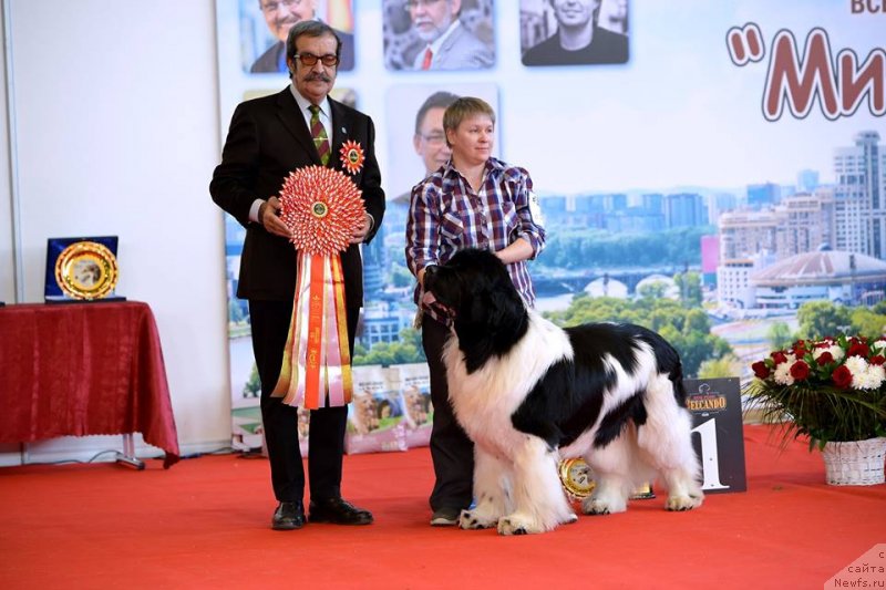 Фотография № 235225