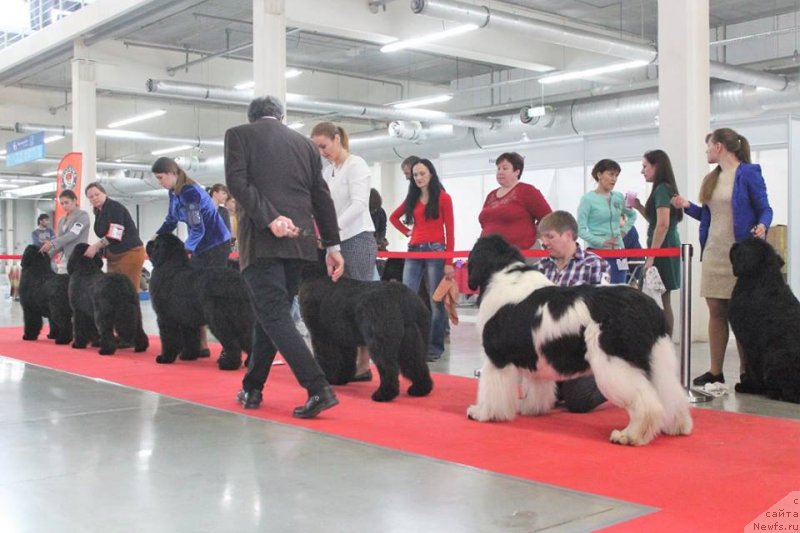 Фотография № 235227