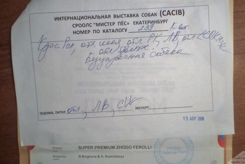 Фотография № 235228