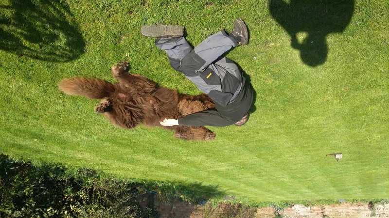 Фотография № 235230