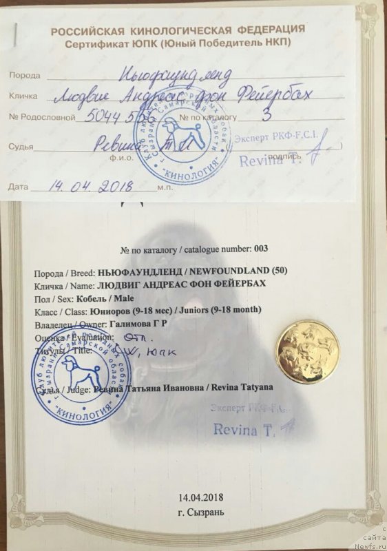 Фотография № 235255