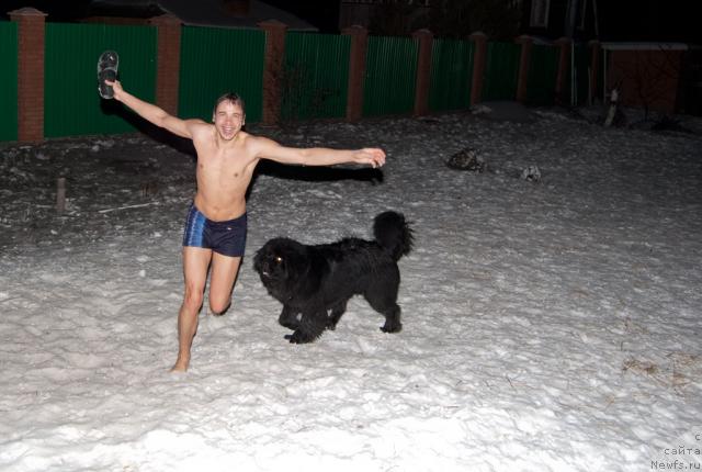 Фото: ньюфаундленд Super Premium Vashington (Супер Премиум Вашингтон), Maksim Kanunnikov (Максим Канунников)