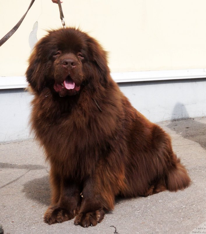 Фотография № 235304