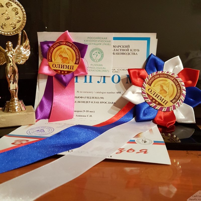 Фотография № 235316