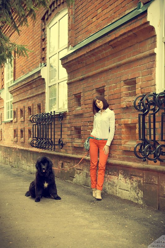 Фотография № 235328