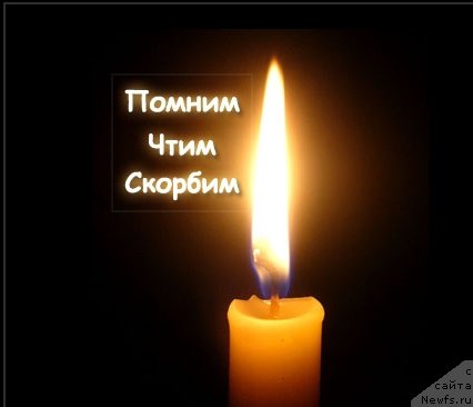 Фотография № 235330