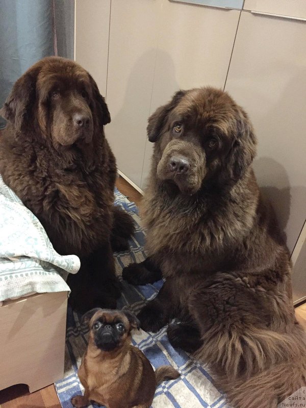 Фотография № 235331