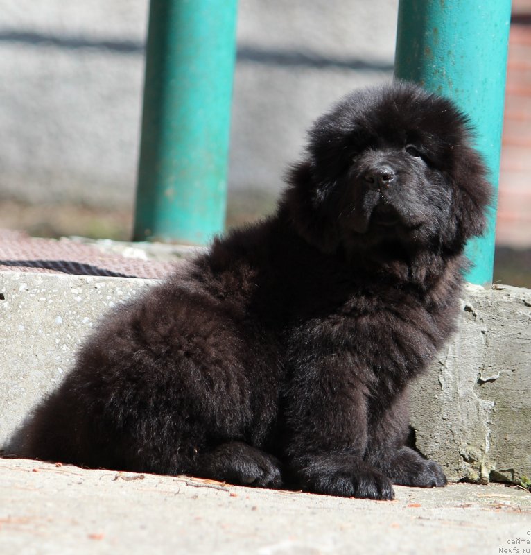 Фотография № 235357