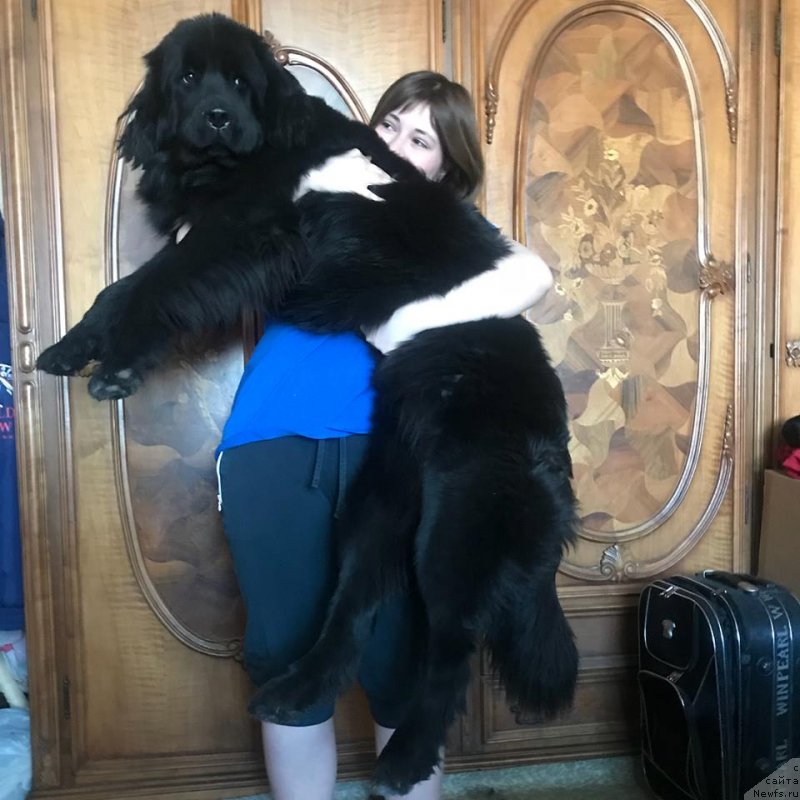 Фотография № 235377