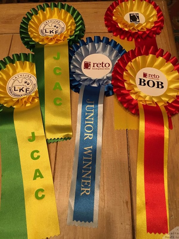 Фотография № 235378