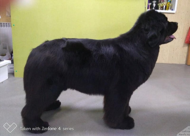 Фотография № 235380