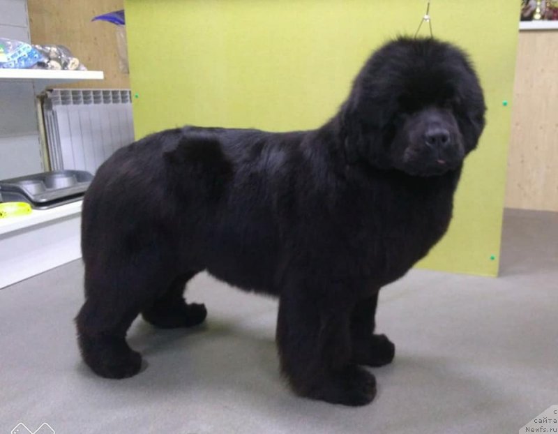 Фотография № 235381