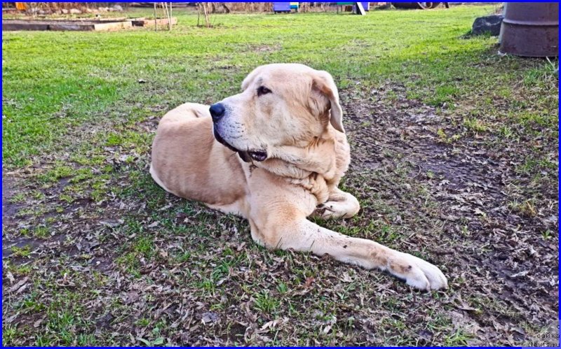 Фотография № 235396