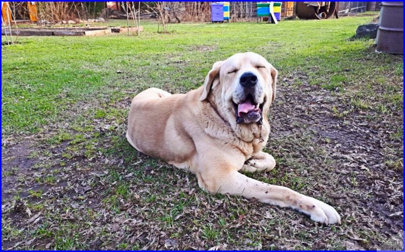 Фотография № 235397