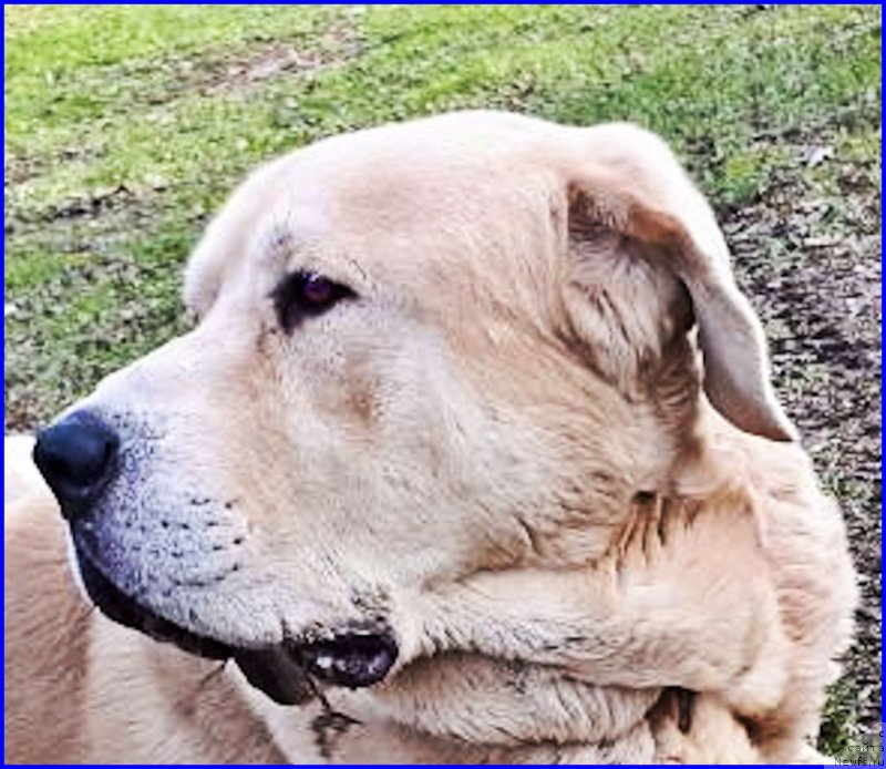 Фотография № 235398