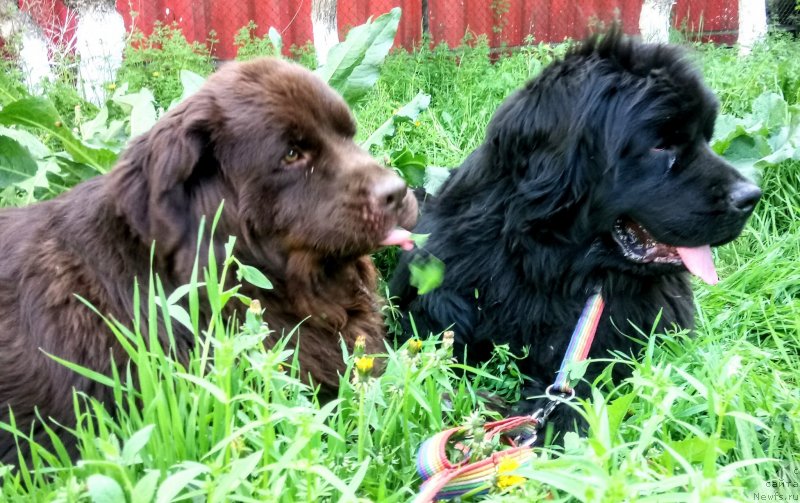 Фотография № 235401