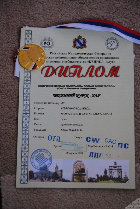 Фотография № 235407