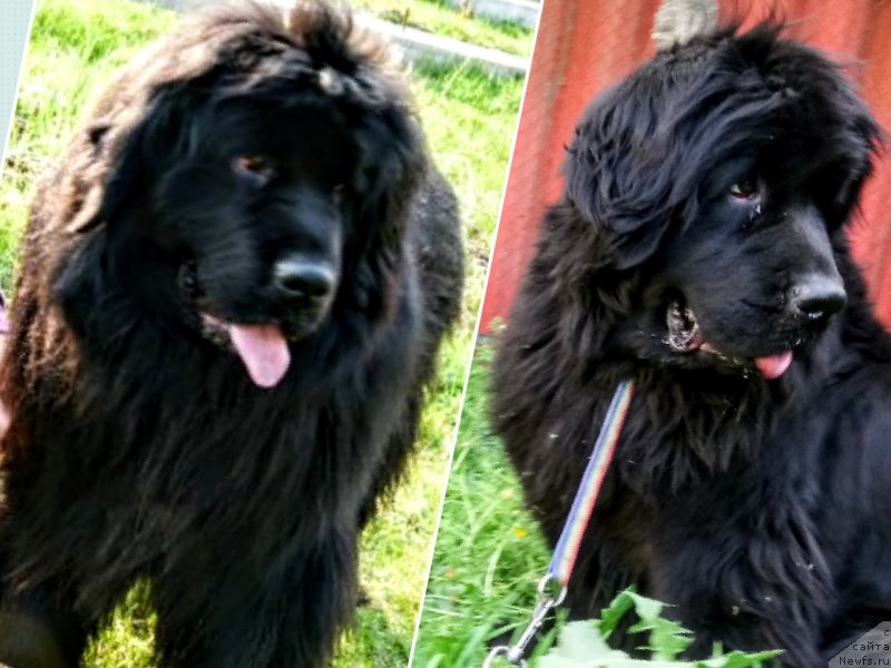 Фотография № 235409