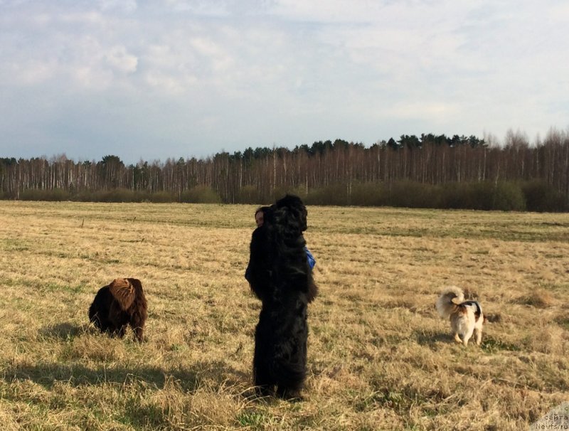 Фотография № 235410