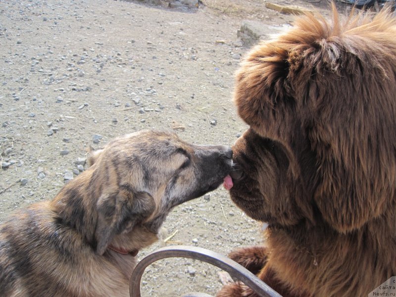 Фотография № 235412