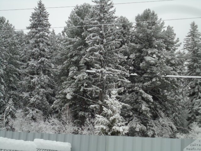 Фотография № 235420