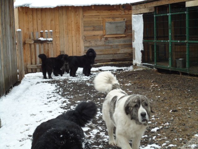 Фотография № 235421