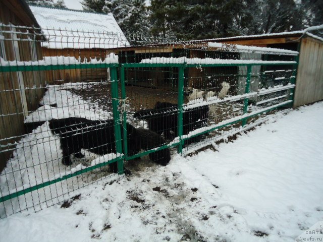 Фотография № 235423