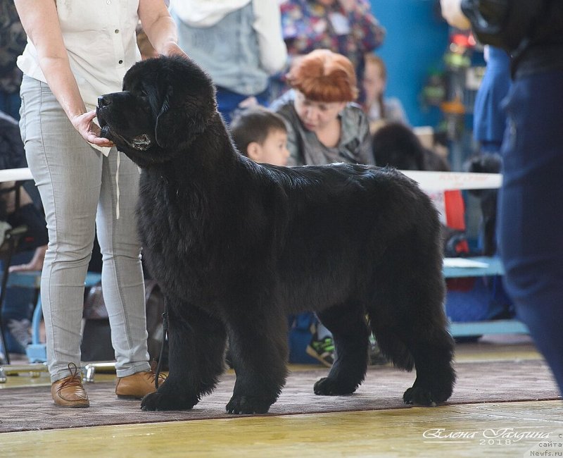 Фотография № 235424