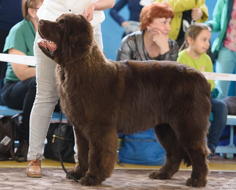 Фотография № 235429