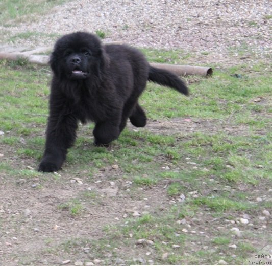 Фотография № 235435