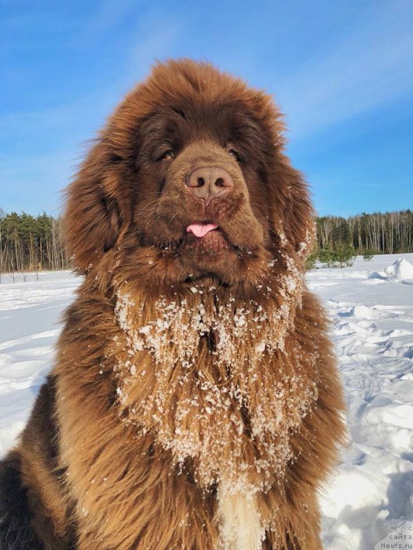 Фотография № 235436