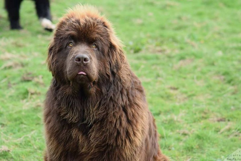 Фотография № 235437