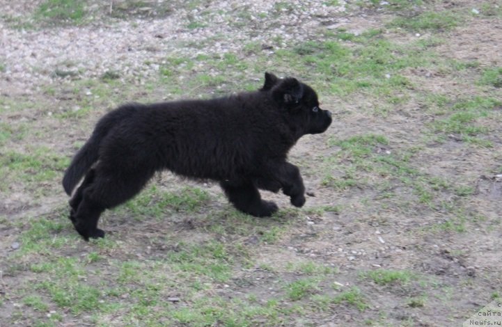 Фотография № 235438