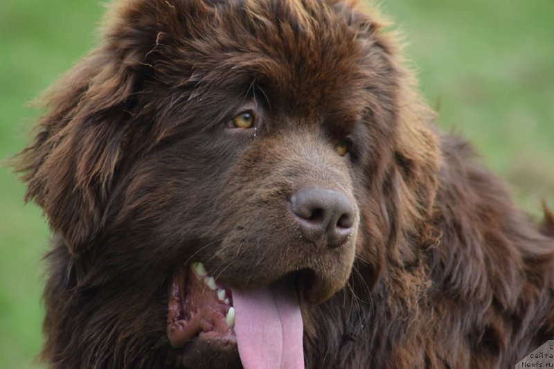 Фотография № 235439