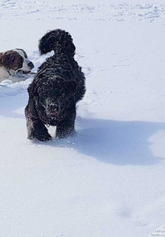 Фотография № 235440