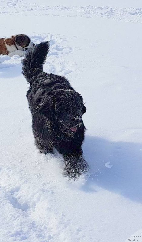 Фотография № 235441