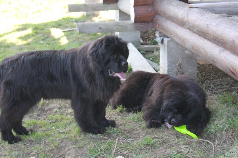 Фотография № 235463