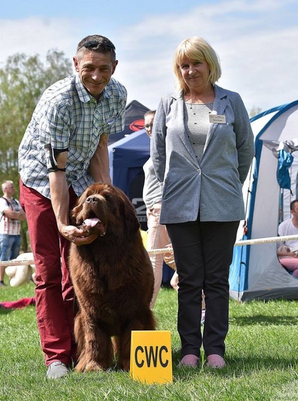 Фотография № 235469